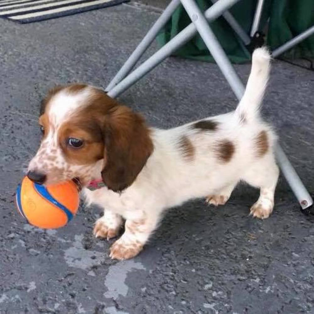 Meet your Posher, Rochelle